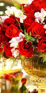 Flowers,Roses,Typography,Registration,Bouquet,Vase