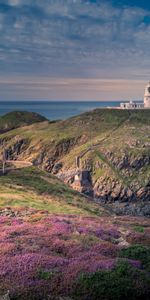 Soulagement,Relief,Nature,Mer,Phare,Fleurs