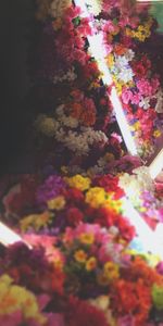 Flowers,Shine,Light,Bouquet,Neon