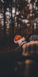 Flowers,Smooth,Boquet,Glare,Hand,Rose,Blur,Bokeh,Rose Flower,Flower