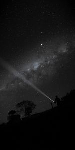 Flowers,Starry Sky,Human,Person,Night,Glow,Flashlight