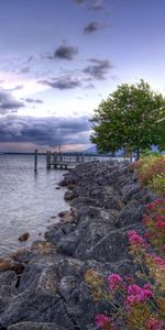 Flowers,Stones,Sea,Shore,Bank,Pier,Colors,Color,Mainly Cloudy,Overcast,Nature