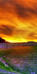 Flowers,Sunset,Sky,Clouds,Evening,Nature,Road,Field