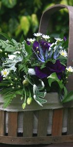 Flowers,Table,Basket,Lisianthus Russell,Lisiantus Russell,Greens,Camomile