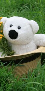 Flowers,Teddy Bear,Miscellanea,Miscellaneous,Hat,Grass,Present,Gift