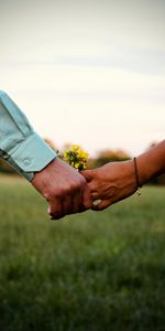 Flowers,Touching,Touch,Hands,Love