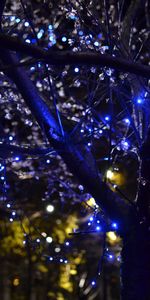 Flowers,Trees,Lights,Illumination,Garland,Garlands,Illuminations,Dark