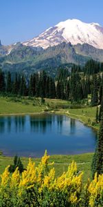 Flores,Árboles,Arriba,Lago,Prado,Naturaleza,Montañas,Vértice,Alpes