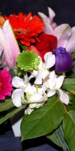 Flowers,Tulips,Chrysanthemum,Gerberas,Bouquet,Leaves,Composition