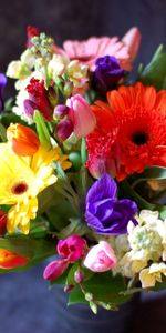 Composition,Gerberas,Inscription,Typographie,Fleurs,Bouquet,Tulipes