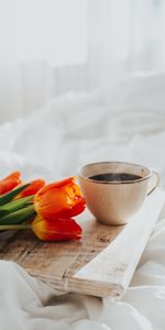 Flowers,Tulips,Miscellanea,Mug,Breakfast,Coffee,Miscellaneous,Cup