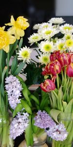 Flowers,Tulips,Narcissussi,Bouquets,Vases,Camomile