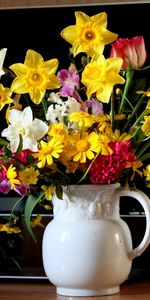 Flowers,Tulips,Narcissussi,Hyacinth,Bouquet,Jug,Monitor