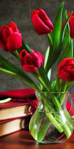 Flowers,Tulips,Plants