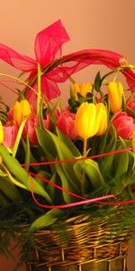 Flowers,Tulips,Registration,Typography,Greens,Bouquet,Bow,Basket