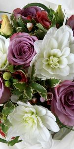 Flowers,Typography,Registration,Bouquet,Lisianthus Russell,Lisiantus Russell,Roses