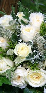 Flowers,Typography,Registration,Bouquet,Snow White,Roses,Greens