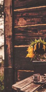 Jarrón,Flores,Girasoles