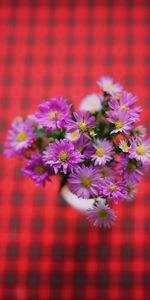 Fleurs,Mauve,Bouquet