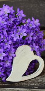 Flowers,Violet,Bouquet,Purple