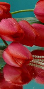 Flowers,Water,Reflection,To Lie Down,Lie,Tulips,Drops,Vase,Beads