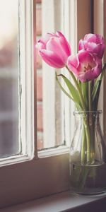 Flowers,Window,Tulips,Vase