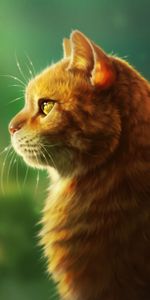 Fluffy,Muzzle,Profile,Cat,Art