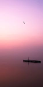 Birds,Lago,Niebla,Muelle,Minimalismo