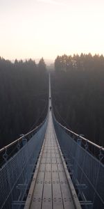 Naturaleza,Bosque,Niebla,Puente Colgante,Puente