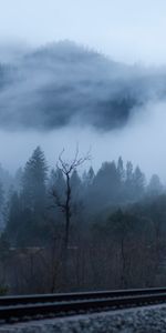 Fog,Light,Trees,Railway,Train,Nature,Shine