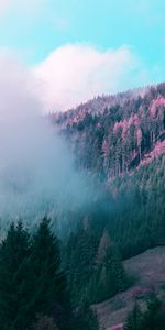 Fog,Lodge,Trees,Mountains,Nature,Small House,Forest