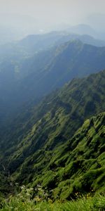 Fog,Mountains,Nature,Landscape