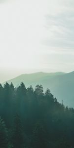 Cielo,Bosque,Niebla,Naturaleza,Montañas