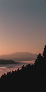 Fog,Outlines,Nature,Mountains,Twilight,Dusk,Forest