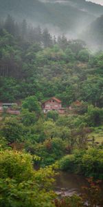 Fog,Rivers,Forest,Nature,House