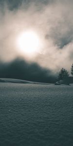 Naturaleza,Noche,Niebla,Árboles,Nieve