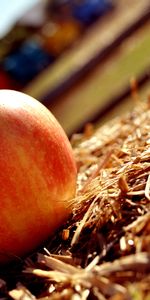 Nourriture,Pommes,Fruits