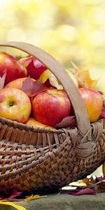 Fruits,Nourriture,Pommes