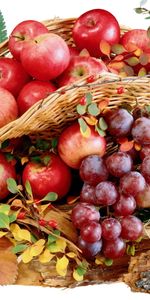 Food,Apples,Fruits,Grapes