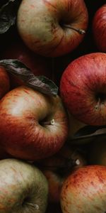 Feuilles,Nourriture,Pommes,Fruits