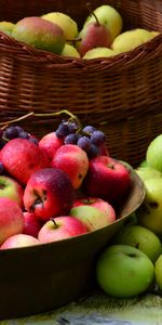 Food,Apples,Lot,Basket,Baskets,Grapes