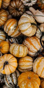 Halloween,Légume,Nourriture,Automne,Citrouille