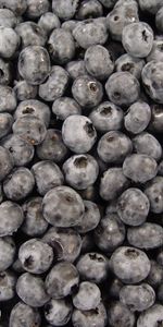 Food,Background,Berries,Fruits,Bilberries