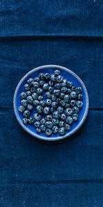 Food,Background,Plate,Denim,Bilberries