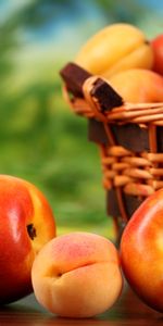 Food,Basket,Apricots,Nectarine,Fruits,Peaches