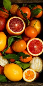 Food,Basket,Grapefruit,Fruits,Oranges