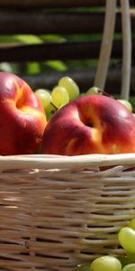 Food,Basket,Peaches,Grapes,Harvest