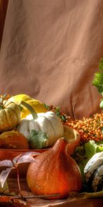 Food,Berries,Bush,Pumpkin,Still Life