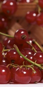 Food,Berries,Currant,Fruits