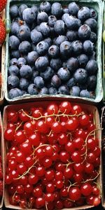 Food,Berries,Fruits,Background